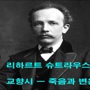 스트라우스(R.Strauss) 교향시 「죽음과 변용(變容)」 이미지