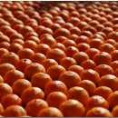 피아골민박 이미지