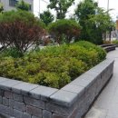 춘천 L-타워 이미지