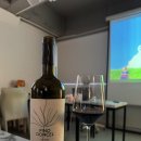 뱅가드 | 스페인 와인 삐노 돈셀 12메세스 2023 후기 뱅가드 행사 와인 추천 Pino Doncel