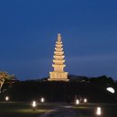 중앙탑길 Daum카페