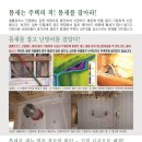 틈새를 잡고 난방비를 잡았다! 고기밀,고단열 셀룰로오스 단열재 이미지