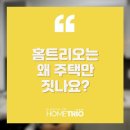 홈트리오