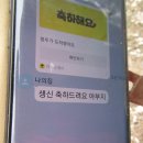 여러곳 개척 답사산행.244 (초지일관 했어야) 이미지