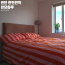 수 민박 | 영국 런던 한인민박 추천, 런던하루 내돈내산 1인실 숙소 후기!