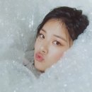 비비