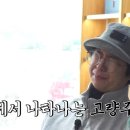 잔디밭투어