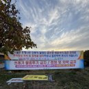 남문사 | 경남 밀양 가볼만한곳,밀양 은행나무 명소 추천 : 금시당 백곡재 방문후기