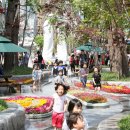 행복로 문화의거리 이미지