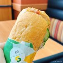 진영약국 | 2025/11-1 :: 요즘의 나날들