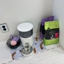 이음펫 유치원 이미지