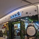 도토리몰 | 도토리숲 잠실 롯데월드몰점 후기