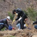 주식회사 스토리나무