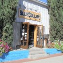 까까요 dog 이미지