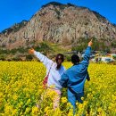 사계어촌체험휴양마을 이미지