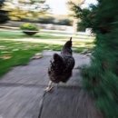 싱글벙글교육센터 | 알바를 해보자! - 쿠팡 알바편