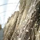 대웅농장 이미지