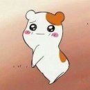 노 나 이미지