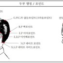 비녀미용재료