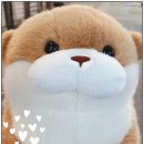 나이스뽑기방 이미지