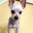 성가병원 이미지