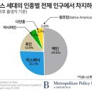 미국의 2007년 이후 출생인구 인종 비율 이미지