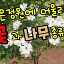 꽃과나무 이미지