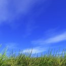 푸르른날 이미지