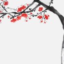 화실S