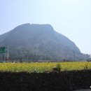 산방산에 펜션 이미지