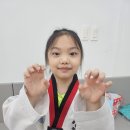 부산대 박사 태권도 이미지