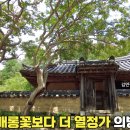 면장군