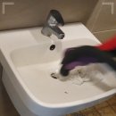 용동 화장실 이미지