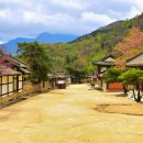 피카소안경 이미지