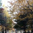 갈색추억 - 연천군 | 갈색추억
