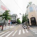 압구정로12길(가로수길) 이미지