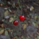 스톡사진작가 도전하기 이미지