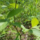 태산농장 1 이미지