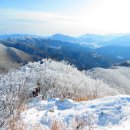 (103차) 2월 정기산행 공지 : 충북 영동 민주지산(1242m) 이미지