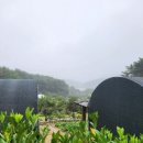 회동농장 이미지