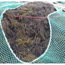 보길도우리민박 이미지