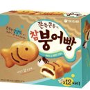 빵냥빵냥 | 용인 처인구 버터떡 사냥(ngl 너구리, 자마르, 빵냥)