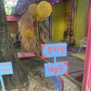 디자인씽킹뮤지엄 | 강릉 구정면 디자인씽킹뮤지엄 후기