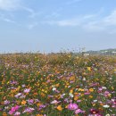 청미천 4 이미지