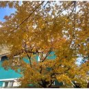 산골민박 네이버블로그