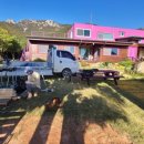 달마스테이 이미지