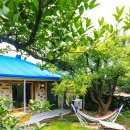 제주민박 제주잔잔 이미지