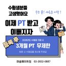 메이트 피티 이미지