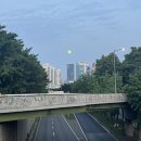 파리바게뜨 당산역삼성점 | [7월 결산] 야근이 많았던터라 주중은 바쁘게 보냈던...