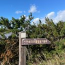 홍도엘도라도 | 보물섬 신안 증도 여행기🔮:: 엘도라도리조트&amp;짱뚱어다리&amp;보물섬길